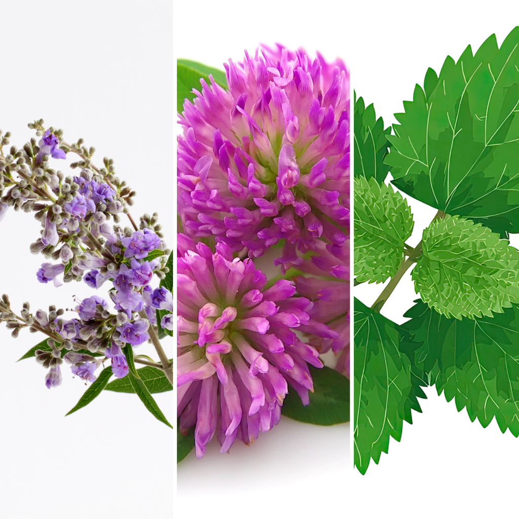 Balance Hormone Tea
